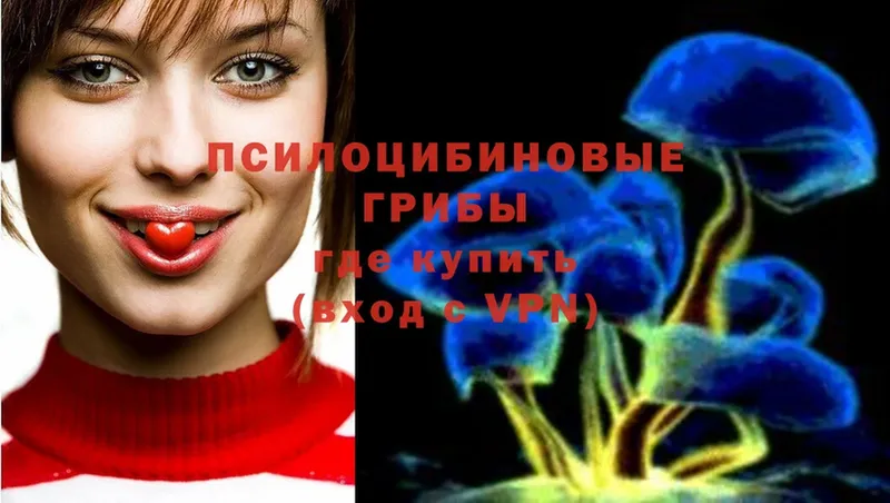 Галлюциногенные грибы Psilocybe  мега сайт  Белоярский 